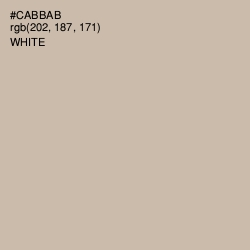 #CABBAB - Coral Reef Color Image